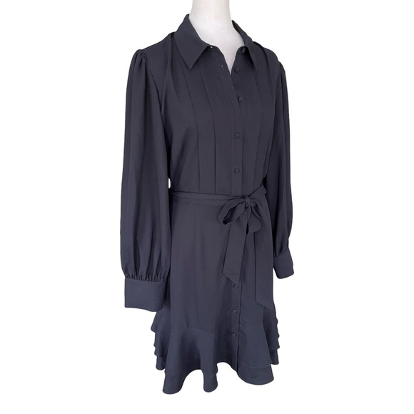 NWT Alex Marie Jesse Long Sleeve Tie Waist Tiered Pleated Shirt Dress Size 12 - Picture 1 of 12